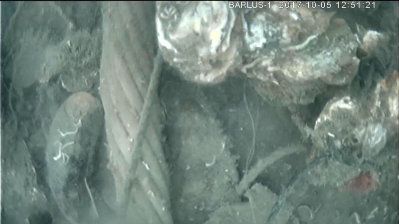 D10000 Image Underwater